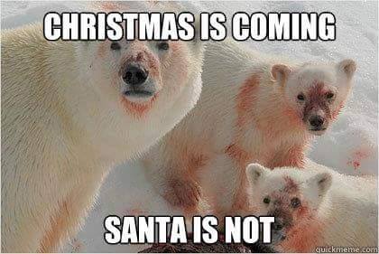 christmas, polar bear.jpg