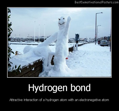 Hydrogen-Bond-atom-Best-Demotivational-Posters.jpg