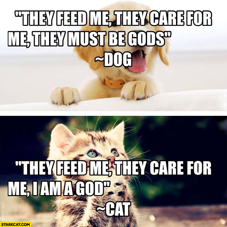 they-feed-me-they-care-for-me-they-must-be-gods-dog-i-am-a-god-cat.jpg