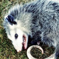 DeadOpossum