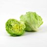 lettucu