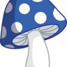 schrodingers mushroom