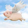 Flying Piggo