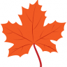 Maple Leaf